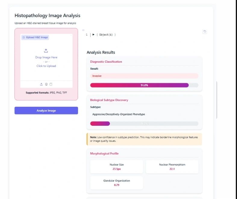 Project UI